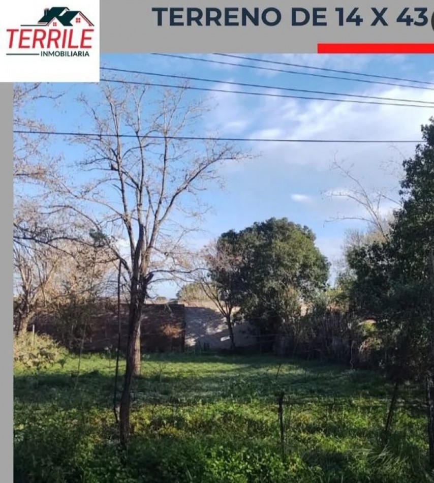 Pergamino Terreno en venta - Matheu entre Ricardo John y Diego de la Fuente