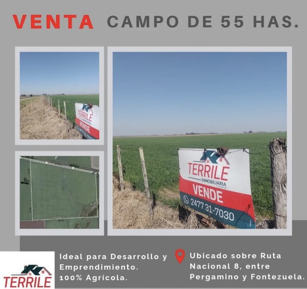 Pergamino Campo de 55 Has. en venta - Ruta nacional 8 Km 216 