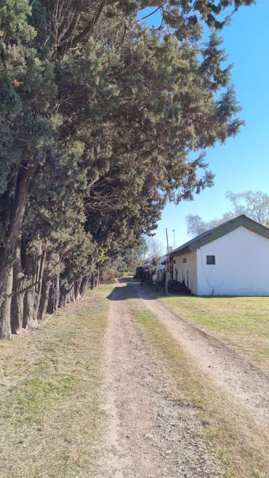 Ayerza Quinta de 3,5 Has. c/ pileta en venta - a 200 mts de Ruta 32 