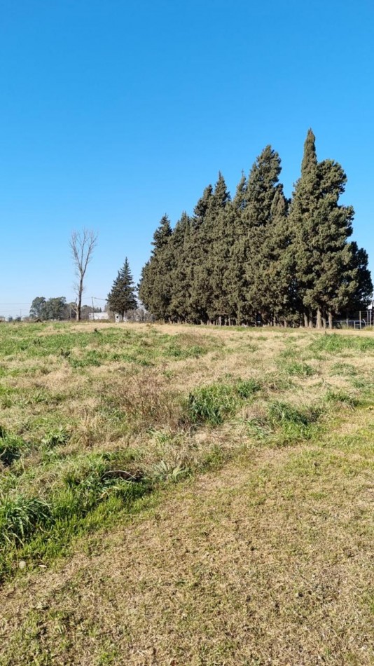 Ayerza Quinta de 3,5 Has. c/ pileta en venta - a 200 mts de Ruta 32 