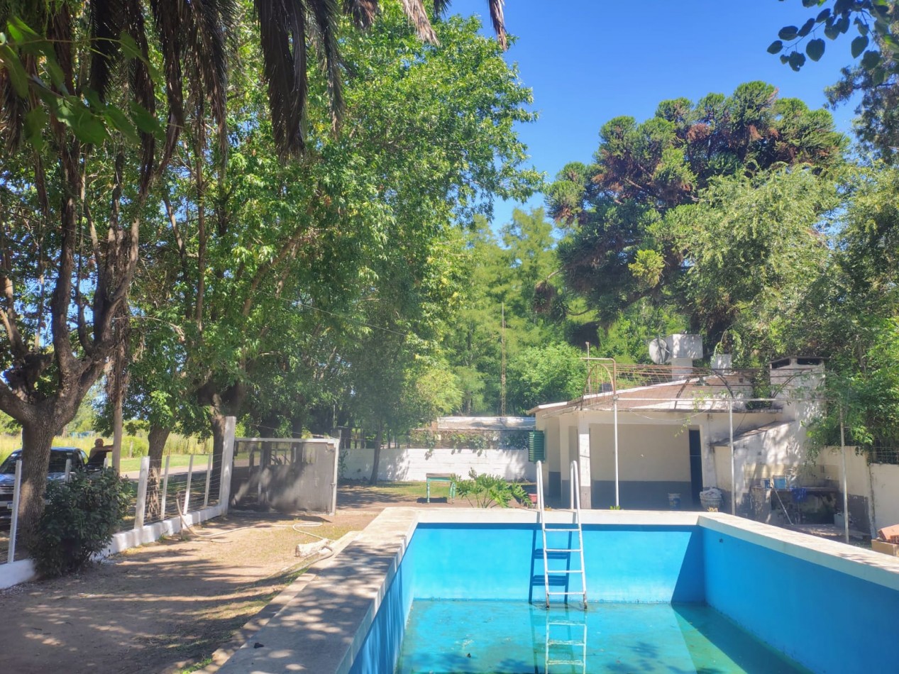 Casa Quinta La Guarida Los Alamos y Las palmeras a 100 mts de R 188