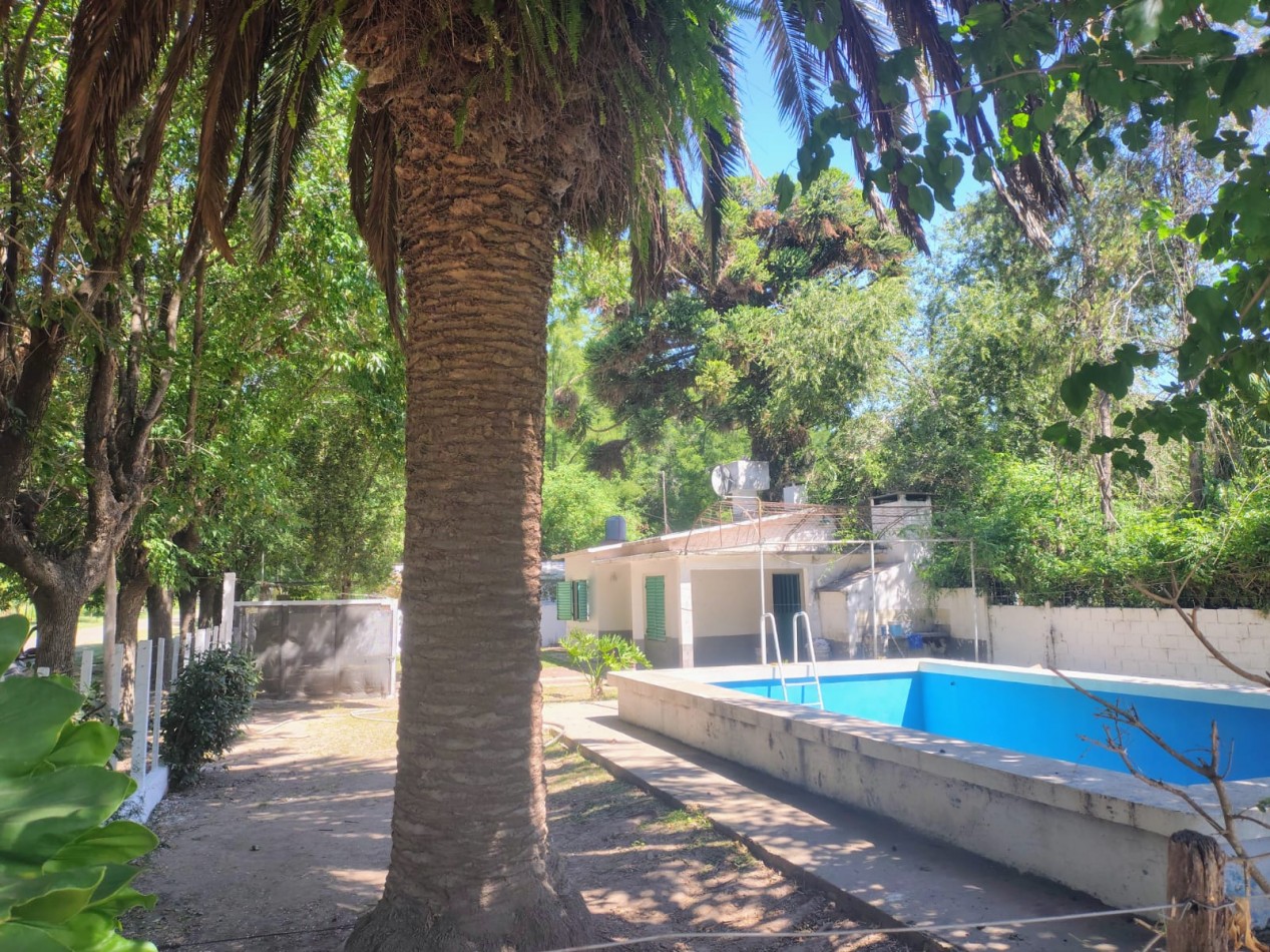 Casa Quinta La Guarida Los Alamos y Las palmeras a 100 mts de R 188