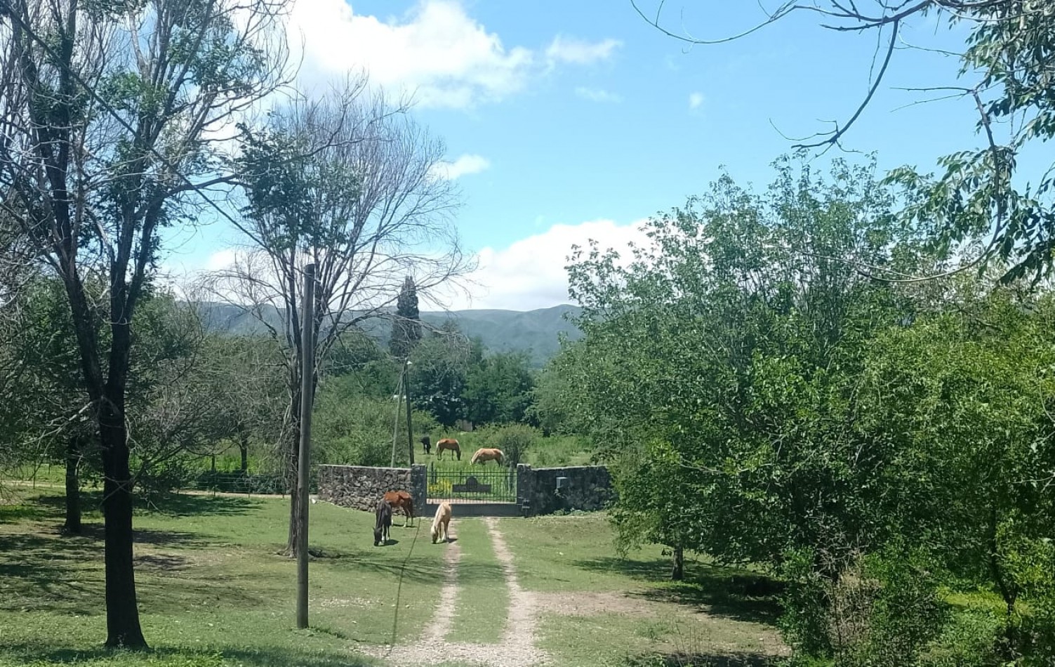 Cordoba Reserva natural y Cultural Rio Yuspe -  Lotes Residenciales de 5.000 y 7.000 mt2 en venta - Cosquin 