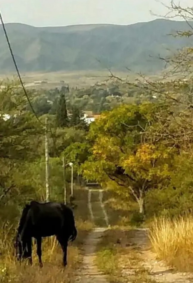 Cordoba Reserva natural y Cultural Rio Yuspe -  Lotes Residenciales de 5.000 y 7.000 mt2 en venta - Cosquin 