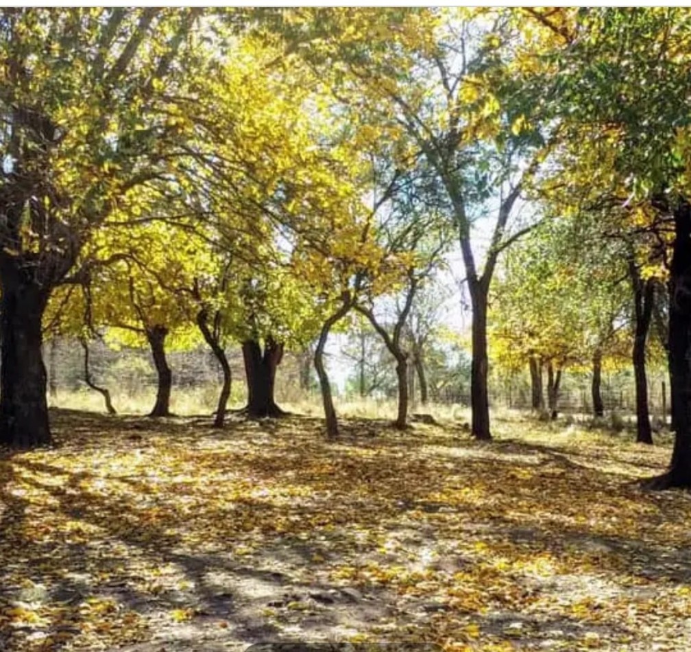 Cordoba Reserva natural y Cultural Rio Yuspe -  Lotes Residenciales de 5.000 y 7.000 mt2 en venta - Cosquin 