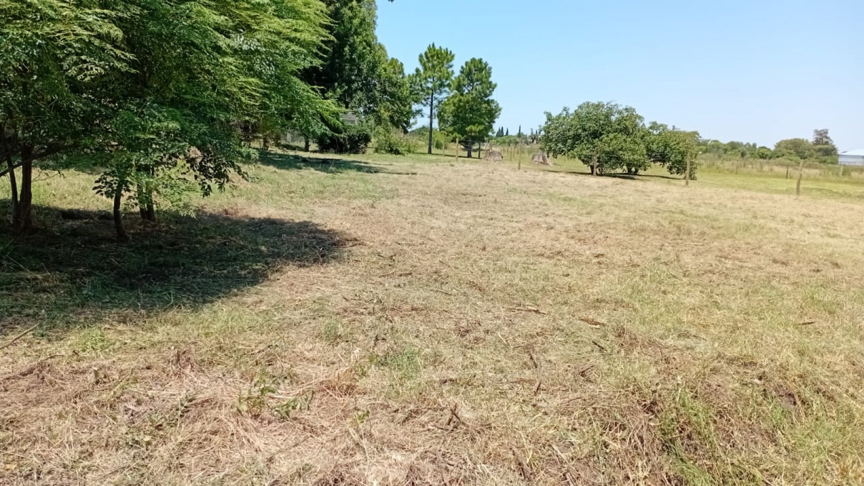 Pergamino Importante Terreno en venta - Alsina al 3500