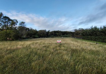 Pergamino excelente Terreno de 2063 mts en venta  - Luar Kayad 
