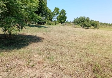 Pergamino Importante Terreno en venta - Alsina al 3500