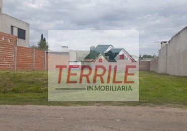 Amplio Terreno